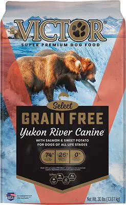 best dry dog food for Goldendoodles