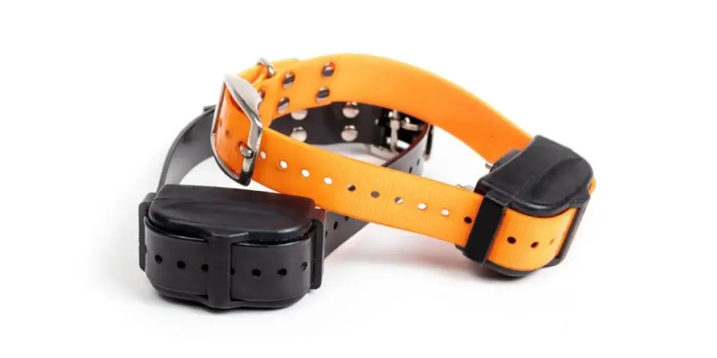 best bark collars for small dogs
